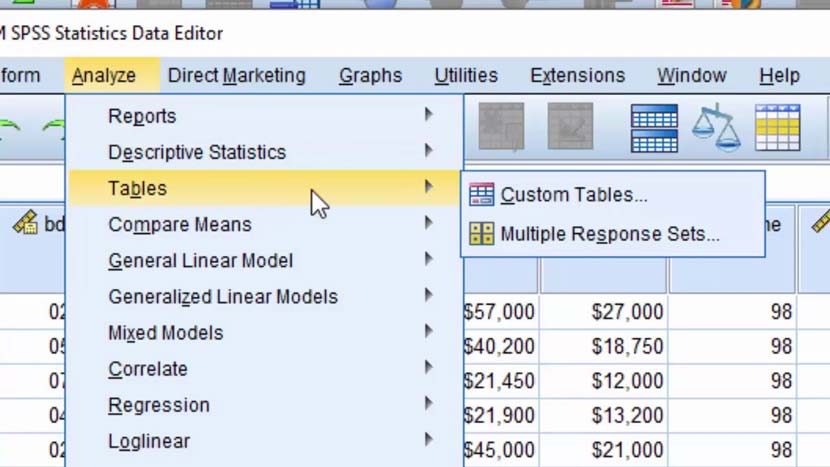 download-ibm-spss-24-full-version-windows-2203394