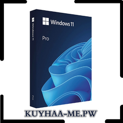 Windows 11 Pro Download